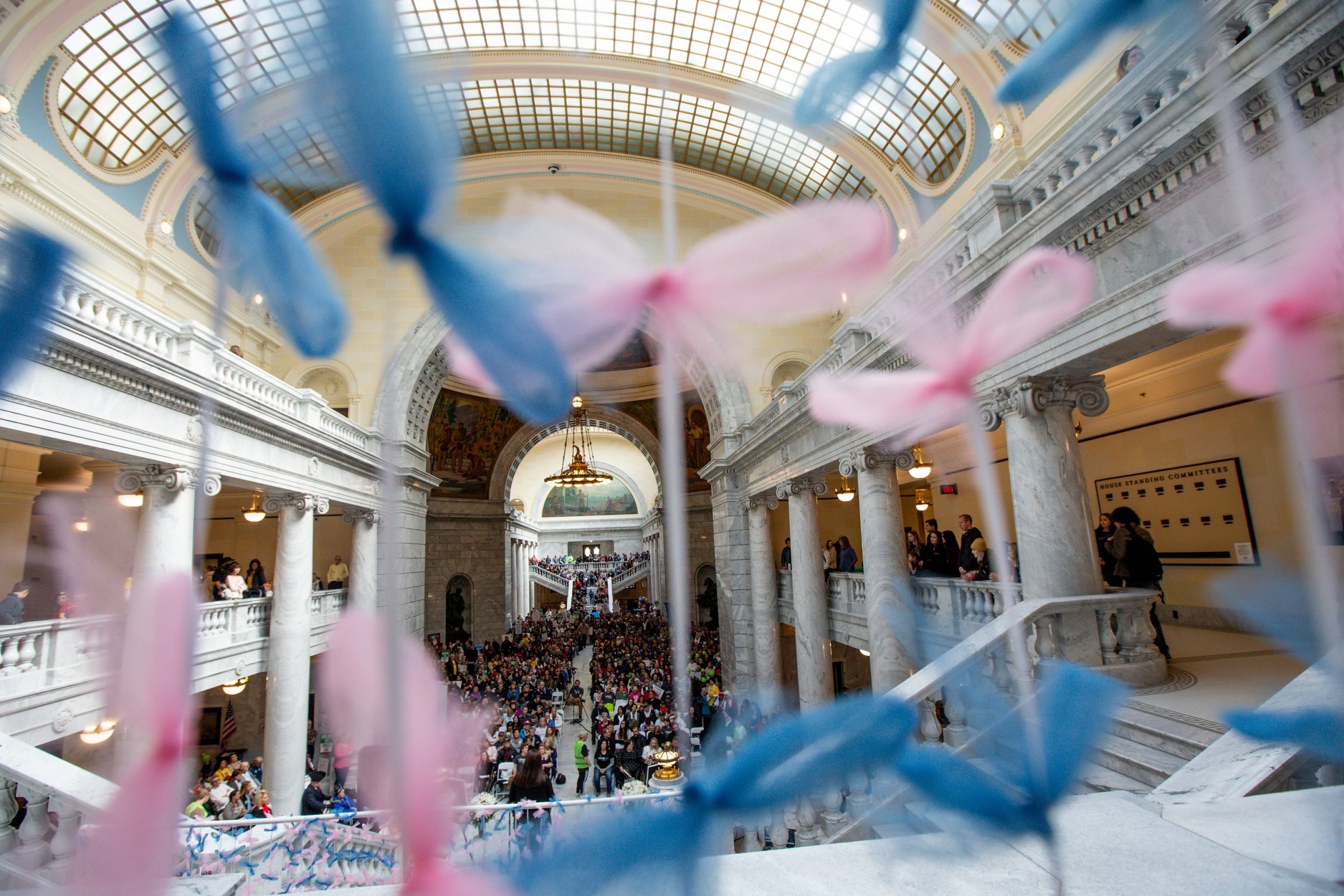 A Year in Review: What Has Pro-Life Utah Done in 2020?